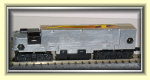 bjsglassfrog_1012010.jpg